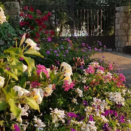 Casa Marianna 아파트 Casa Morcone